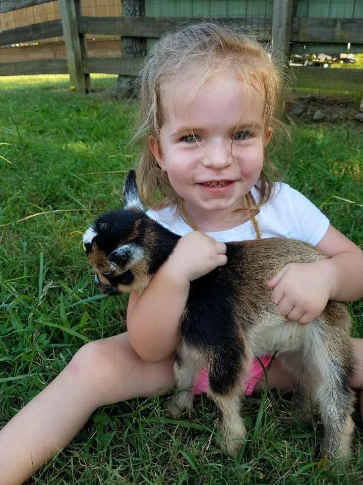 22308790_10212236204814575_7606025450428750371_n